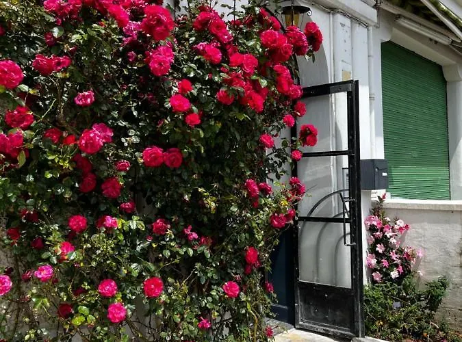 Escapade Dans Grand T2 De Charme Avec Terrasse - Proche Gare Et Centre * Лурд